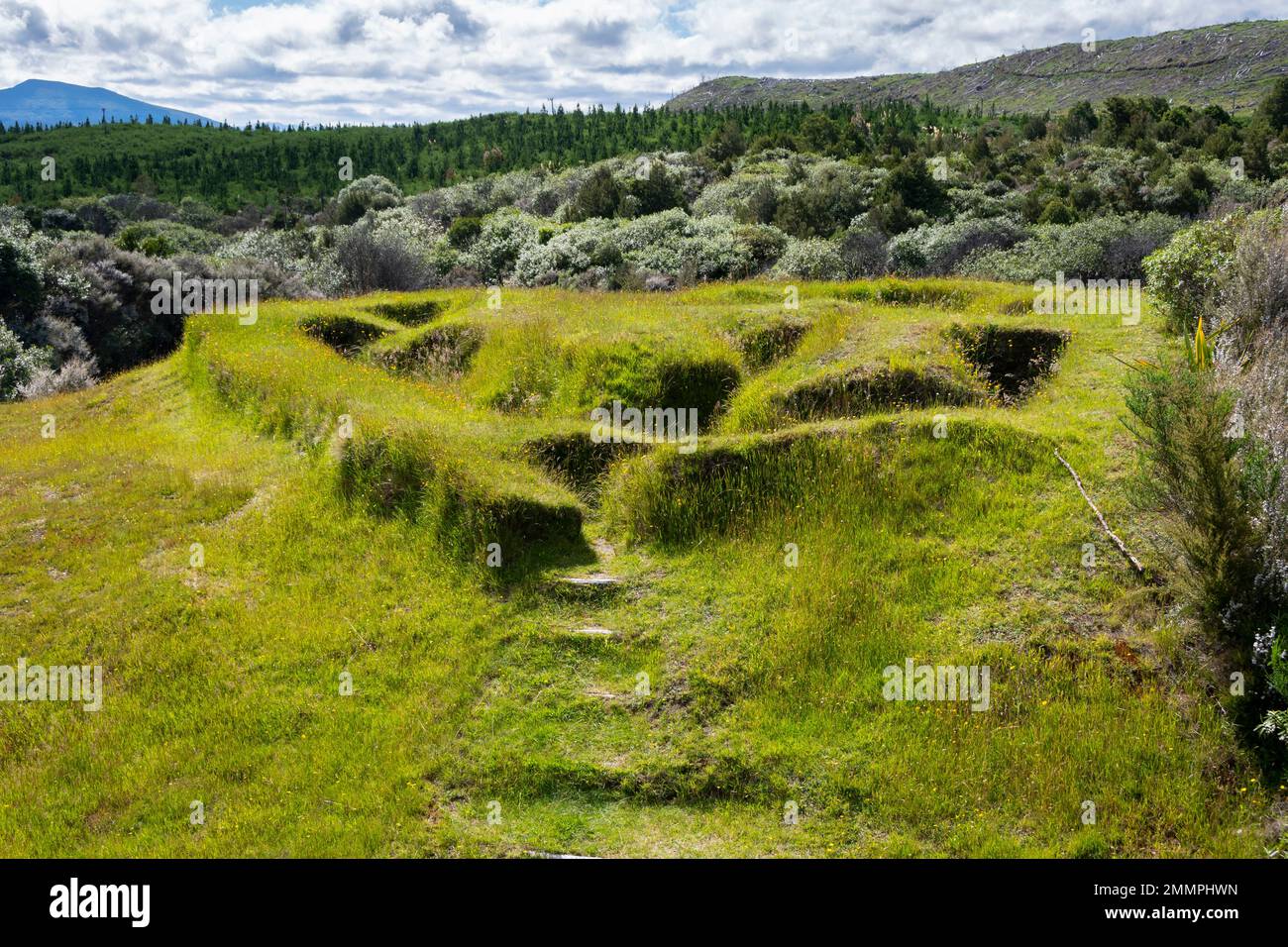 Historische Maori-Erdarbeiten und Schutzgebiet am Lower Te Porere Redoubt, in der Nähe von Turangi, North Island, Neuseeland Stockfoto