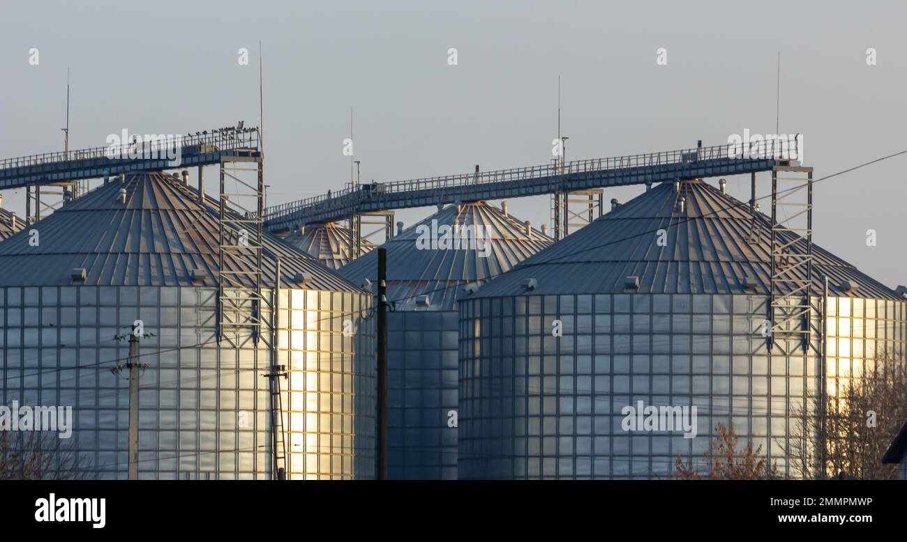 Eine große moderne Pflanze für die Lagerung und Verarbeitung von Getreidepflanzen. Blick auf die Kornkammer an einem sonnigen Tag. Große Eisenfässer mit Getreide. Silbersilos auf A Stockfoto