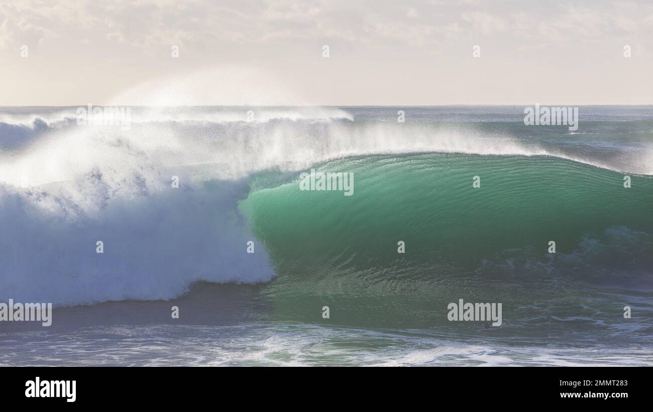 Ozeanwelle große, smaragdfarbene, tropische Wasserwand, die mit Hintergrundbeleuchtung zerbricht. Stockfoto