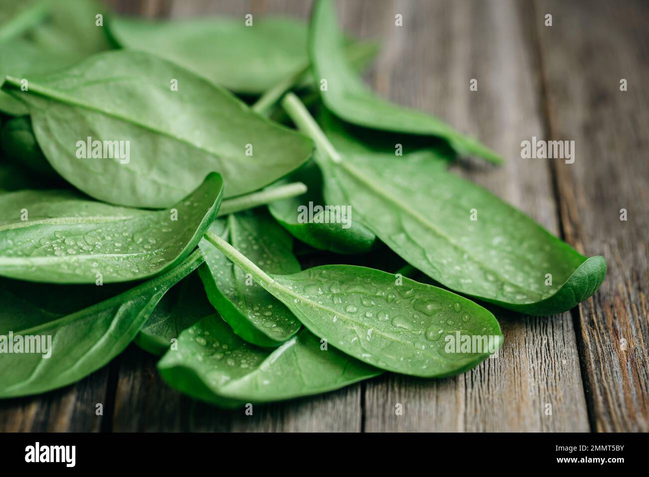 Nasse, frische, grüne Baby-Spinatblätter auf Holzhintergrund. Stockfoto