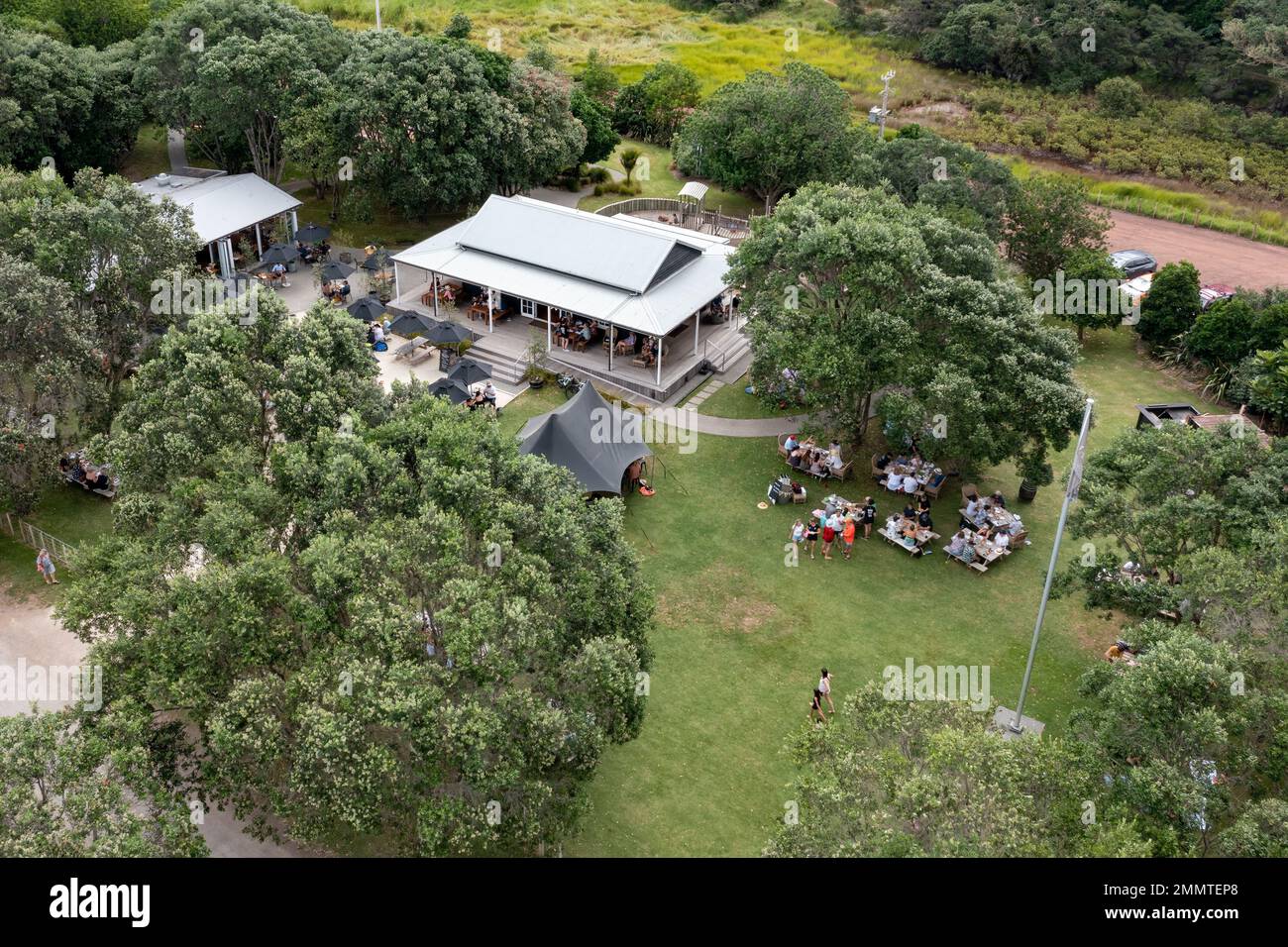 Man O' war Winery in der man O' war Bay Waiheke Island im Hauraki Golf, Auckland Neuseeland. Stockfoto