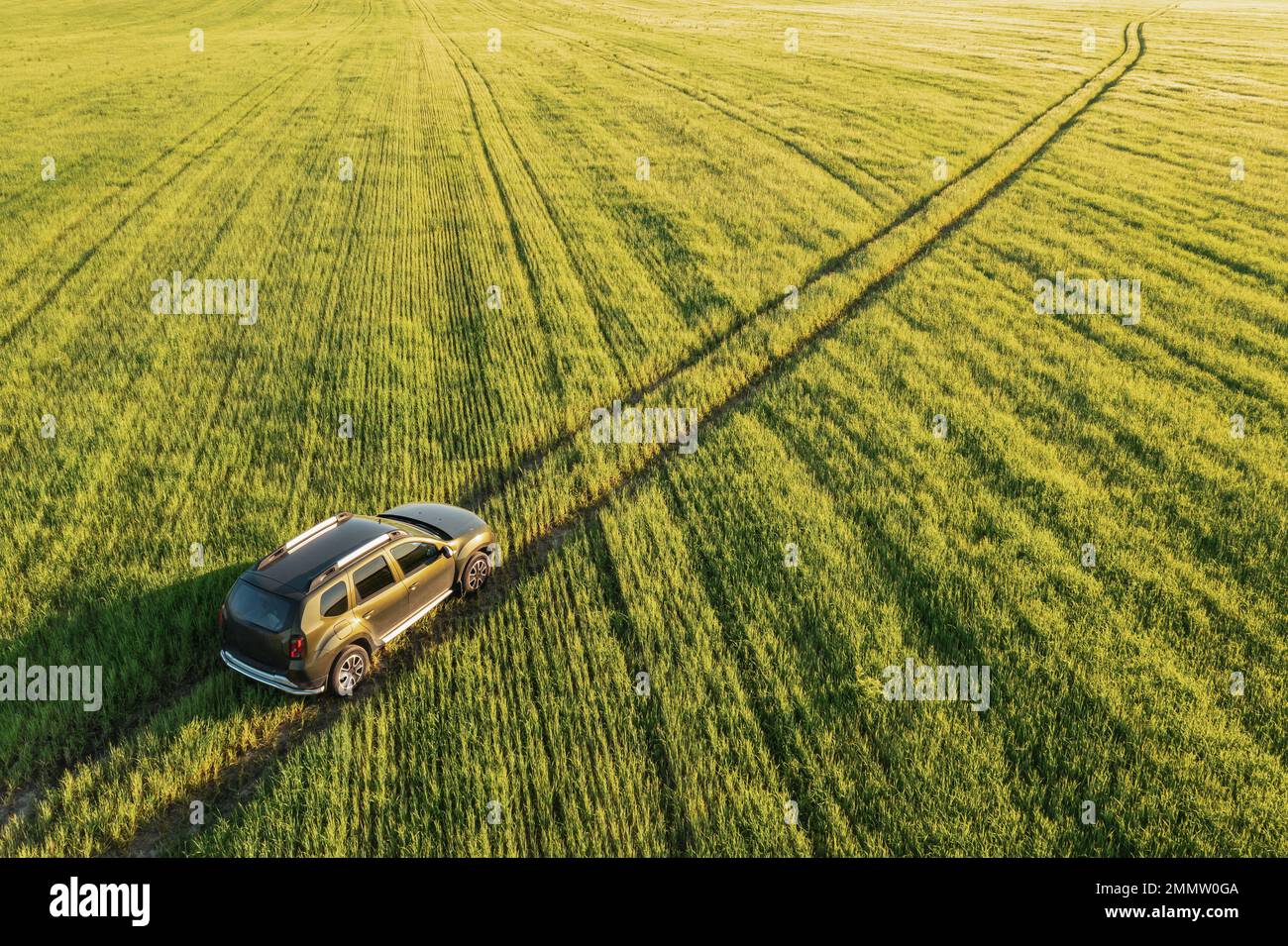 Luftaufnahme eines Auto-SUV, der auf Landstraßen in ländlicher Frühlingslandschaft fährt. Auto fährt auf Maisplantagen Stockfoto