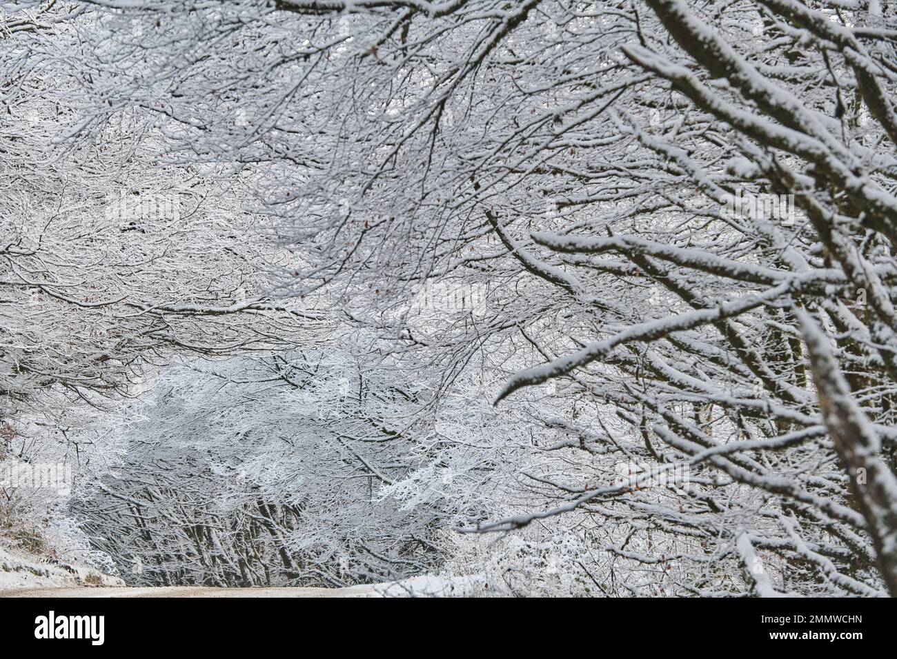 Eine schneebedeckte Straße auf Exmoor im Winter, Großbritannien Stockfoto