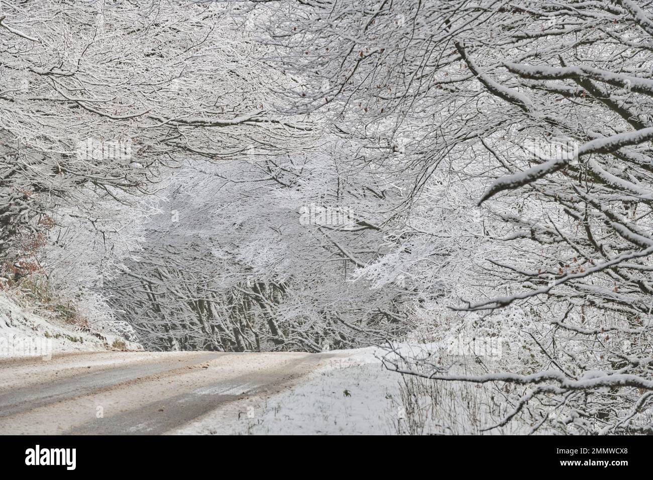 Eine schneebedeckte Straße auf Exmoor im Winter, Großbritannien Stockfoto