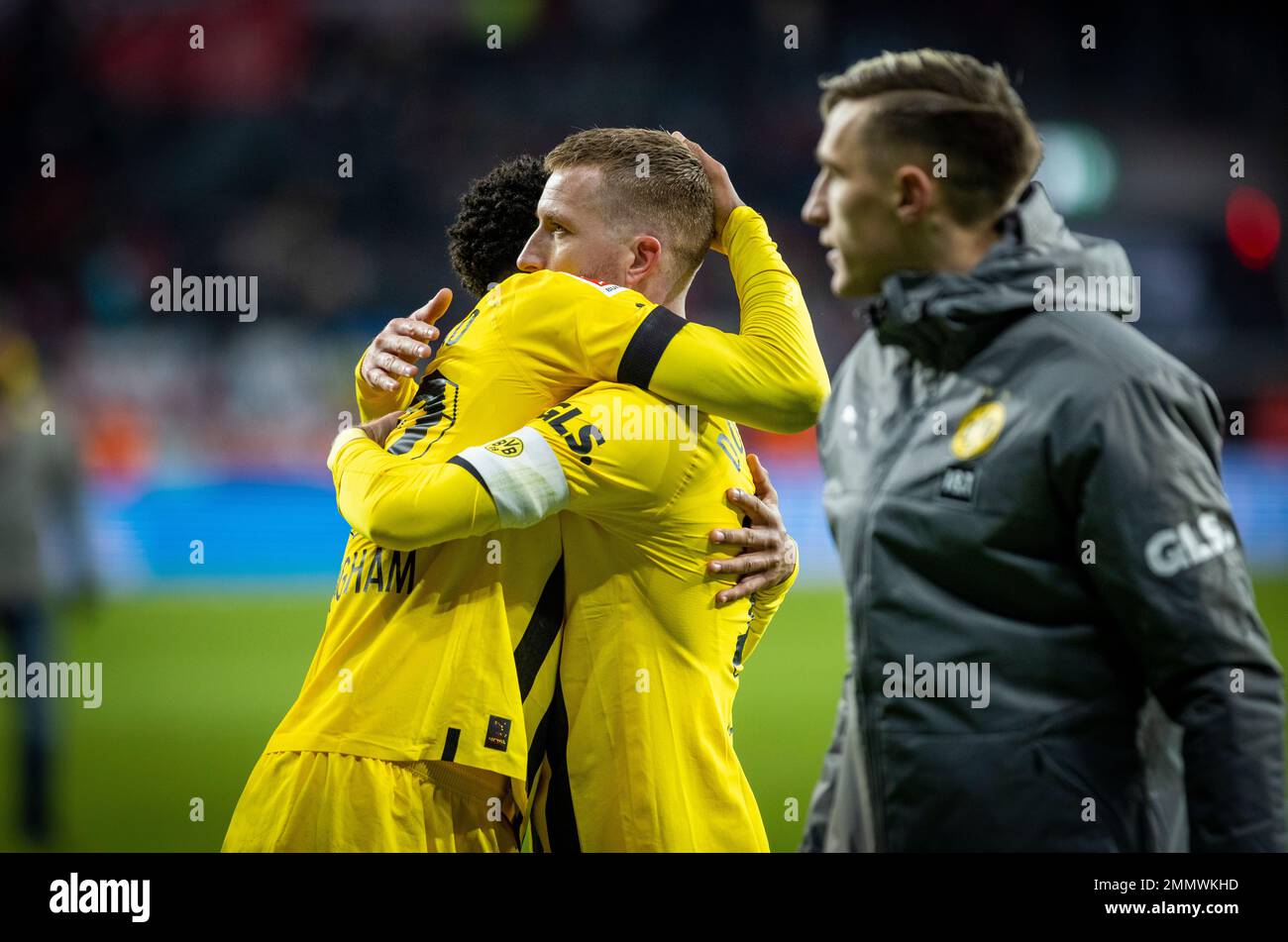 Leverkusen, Deutschland. 29. Januar 2023. Jude Bellingham (BVB) Marco Reus (BVB) Bayer Leverkusen - Borussia Dortmund Bundesliga 29.01.2023 Copyright (nu Stockfoto