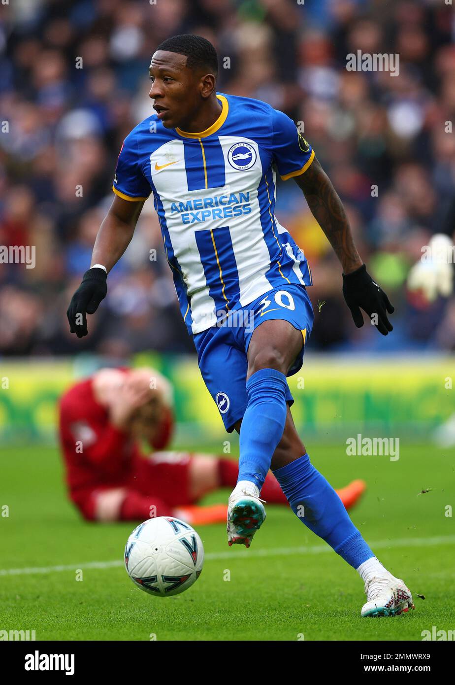 Brighton und Hove, England, 29. Januar 2023. Pervis Estupiñán von Brighton während des FA-Cup-Spiels im AMEX-Stadion, Brighton und Hove. Der Bildausdruck sollte lauten: David Klein/Sportimage Stockfoto