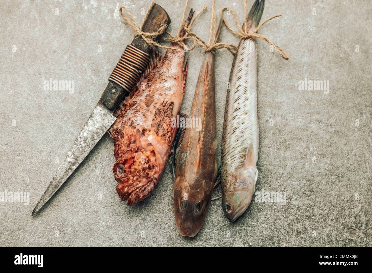 Konzept frischer Meeresfrüchte, veranschaulicht durch ungekochte 3 Arten von Fisch, die mit einem Seil neben dem Messer gebunden und an der Wand vor dem Hintergrund der Struktur aufgehängt werden Stockfoto