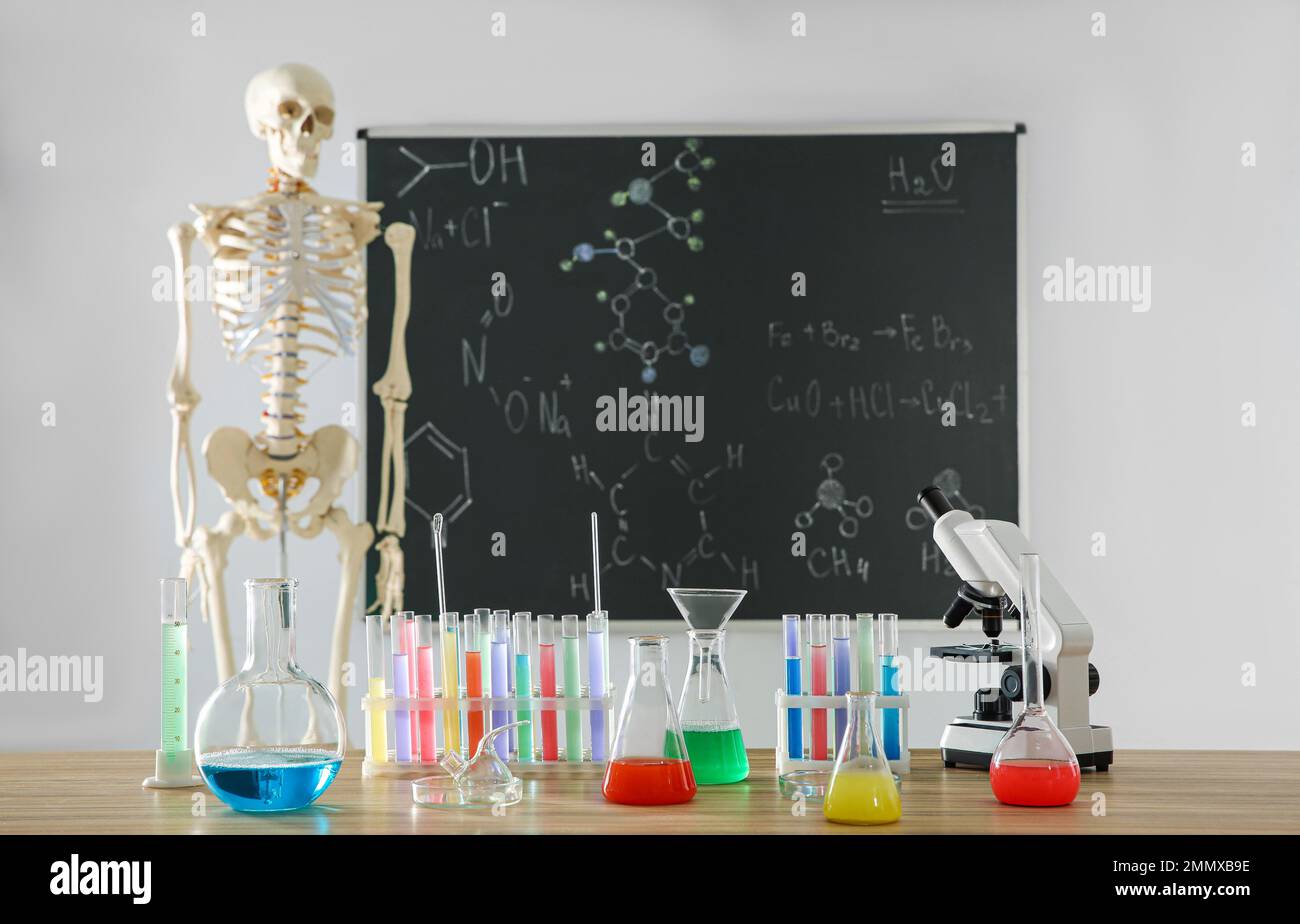 Unterschiedliche Chemie-Glasgeräte und -Skelette im Klassenzimmer Stockfoto