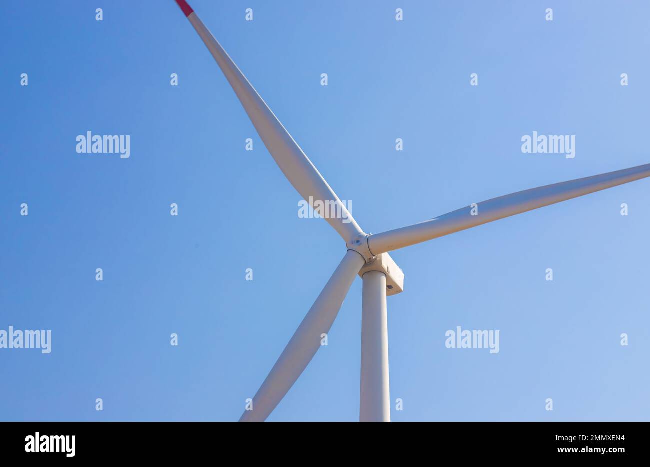 Windmühle oder auch Windturbine auf einem umlaufenden Windpark zur Erzeugung von Elektrizität im Freien mit Sonne und blauem Himmel, Erhaltung und Nachhaltigkeit Stockfoto