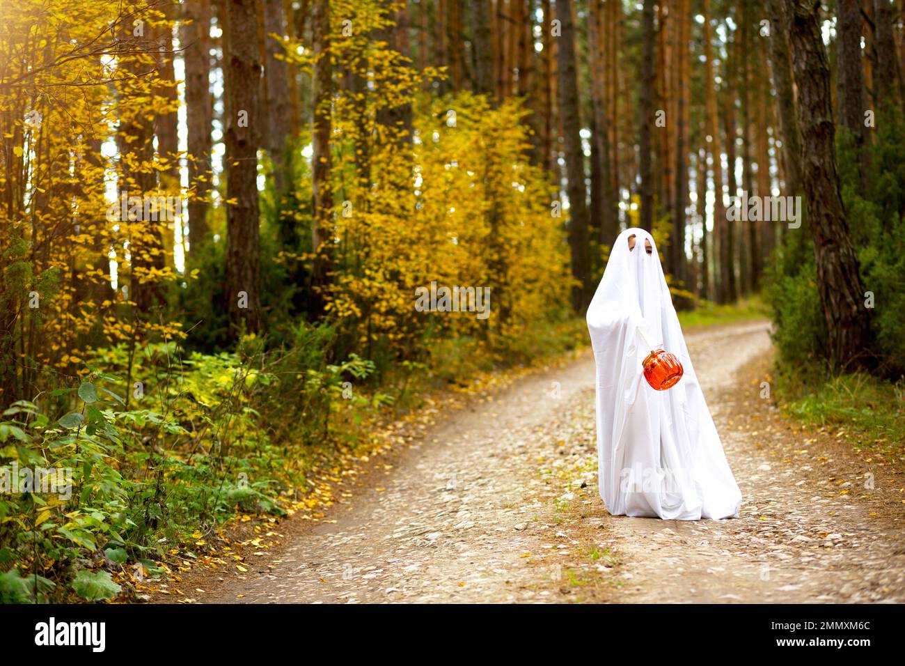 Ein Kind in Laken mit Schlitzen wie ein Geisterkostüm im Herbstwald erschreckt und erschreckt. Ein netter kleiner Geist. Halloween-Party Stockfoto