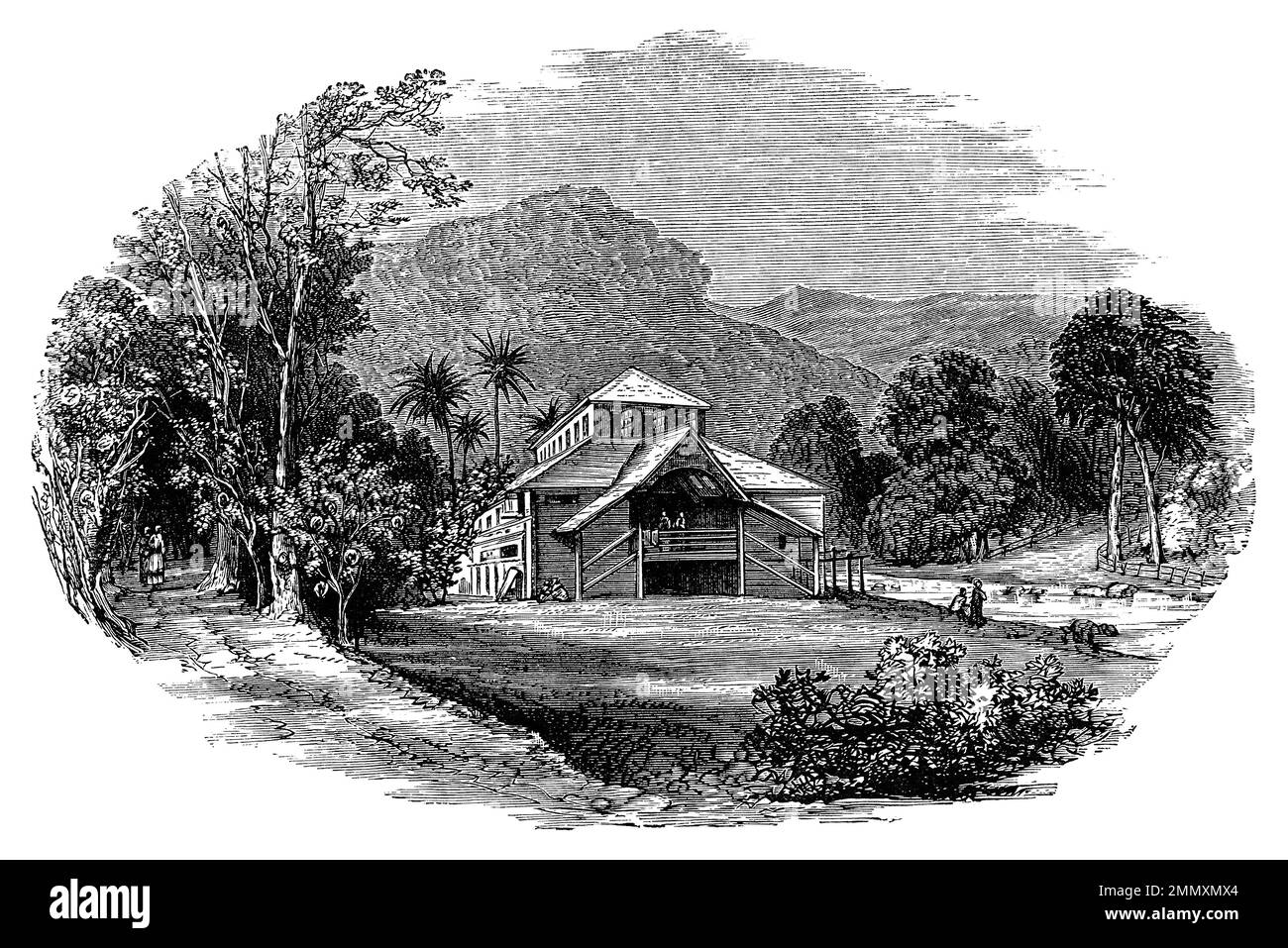 1887 klassische viktorianische Gravur eines Kakao-Trocknungshauses in Trinidad. Stockfoto