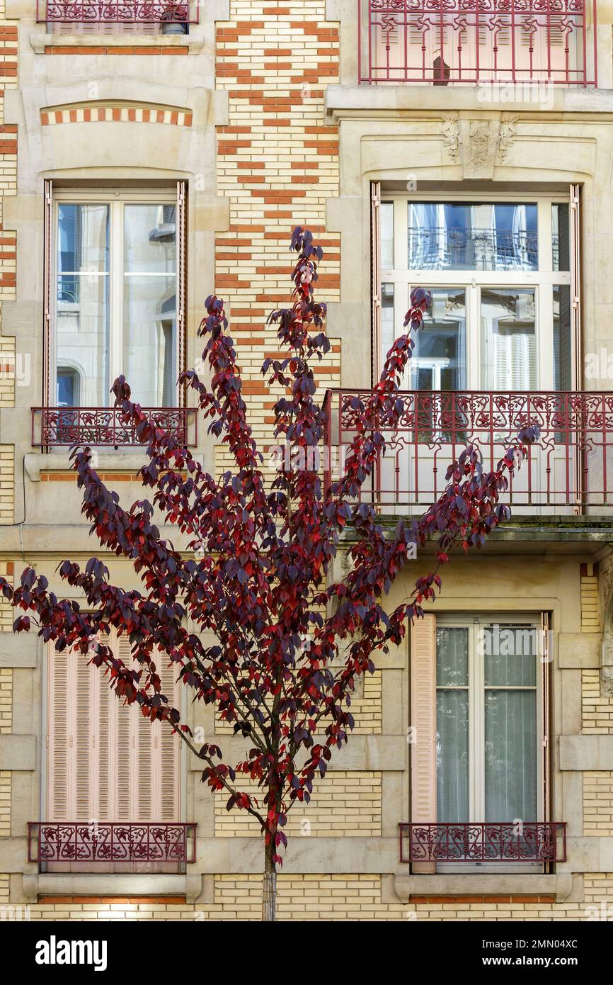 Frankreich, Meurthe et Moselle, Nancy, Fassade eines aus Ziegelsteinen bestehenden Wohngebäudes in der Avenue Anatole France Stockfoto