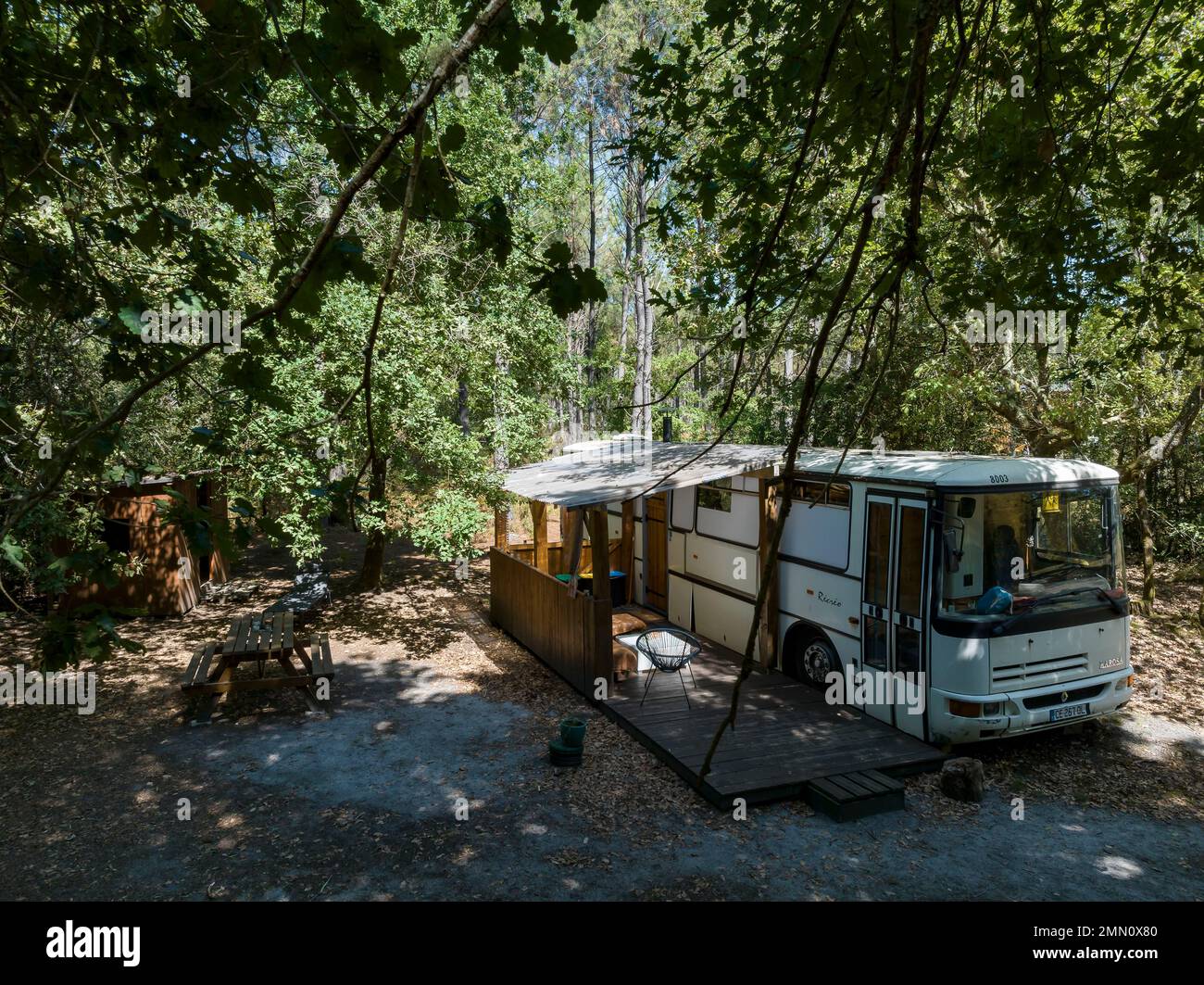 Frankreich, Gironde, Belin-Béliet, Landes de Gascogne Regional Natural Park, Domaine in the Wild, ungewöhnliche Unterkunft, Bus verwandelt in ein Zimmer Stockfoto
