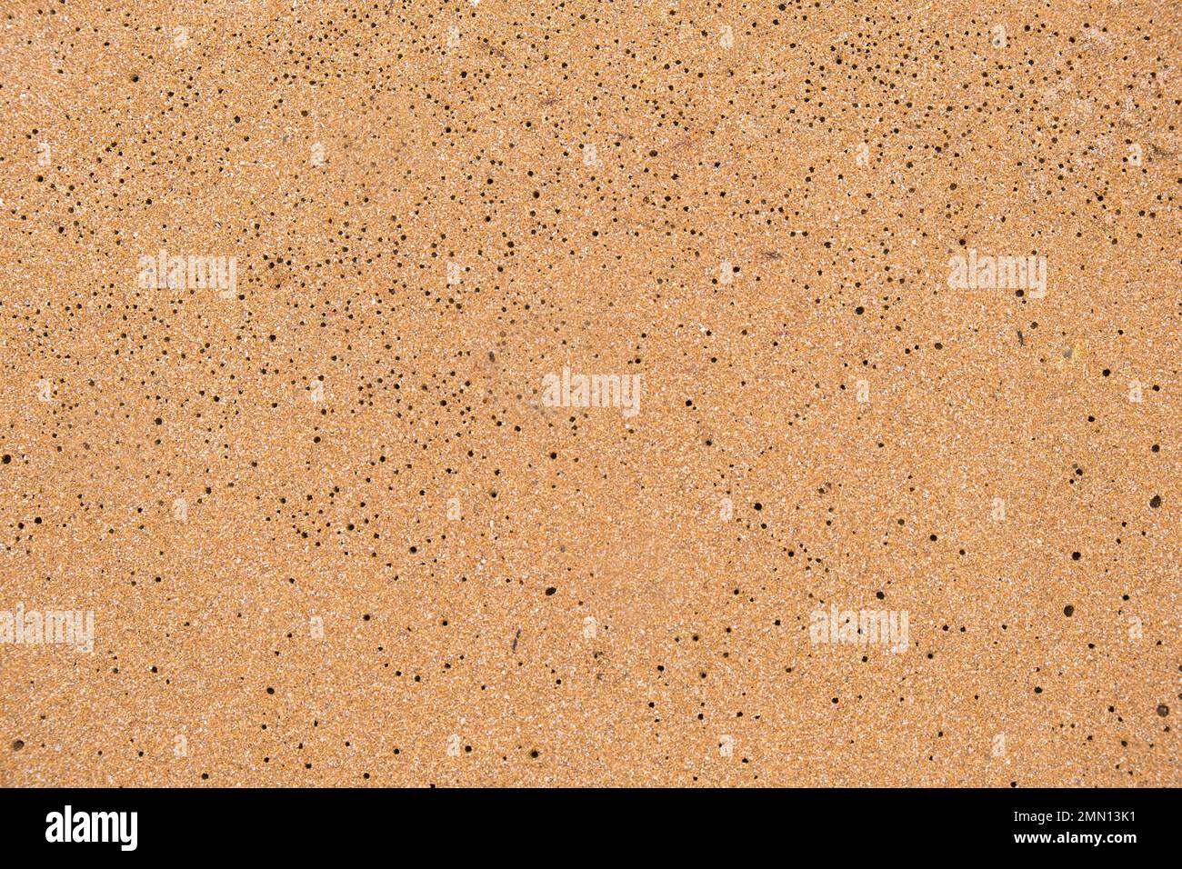 Sandorange, gelb, in einem Loch. Schöner Hintergrund und Platz für Text. Speicherplatz kopieren. Hochwertiges Foto Stockfoto