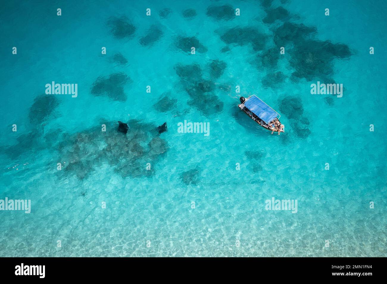 Mantarochen und Touristen auf dem Tourboot, Wildtiertourismus, mit einer Drohne Stockfoto