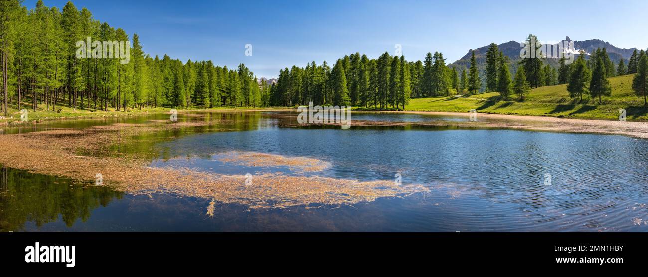 Lac de Roue See im Sommer im Queyras Nature Park (Panoramablick). Hautes-Alpes (französische Alpen) in der Nähe des Dorfes Arvieux. Frankreich Stockfoto