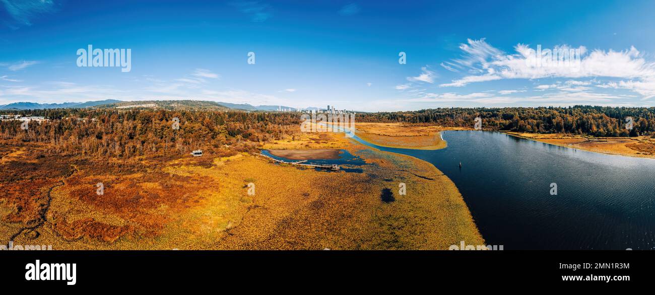 Panoramablick auf den Burnaby Lake Park Stockfoto