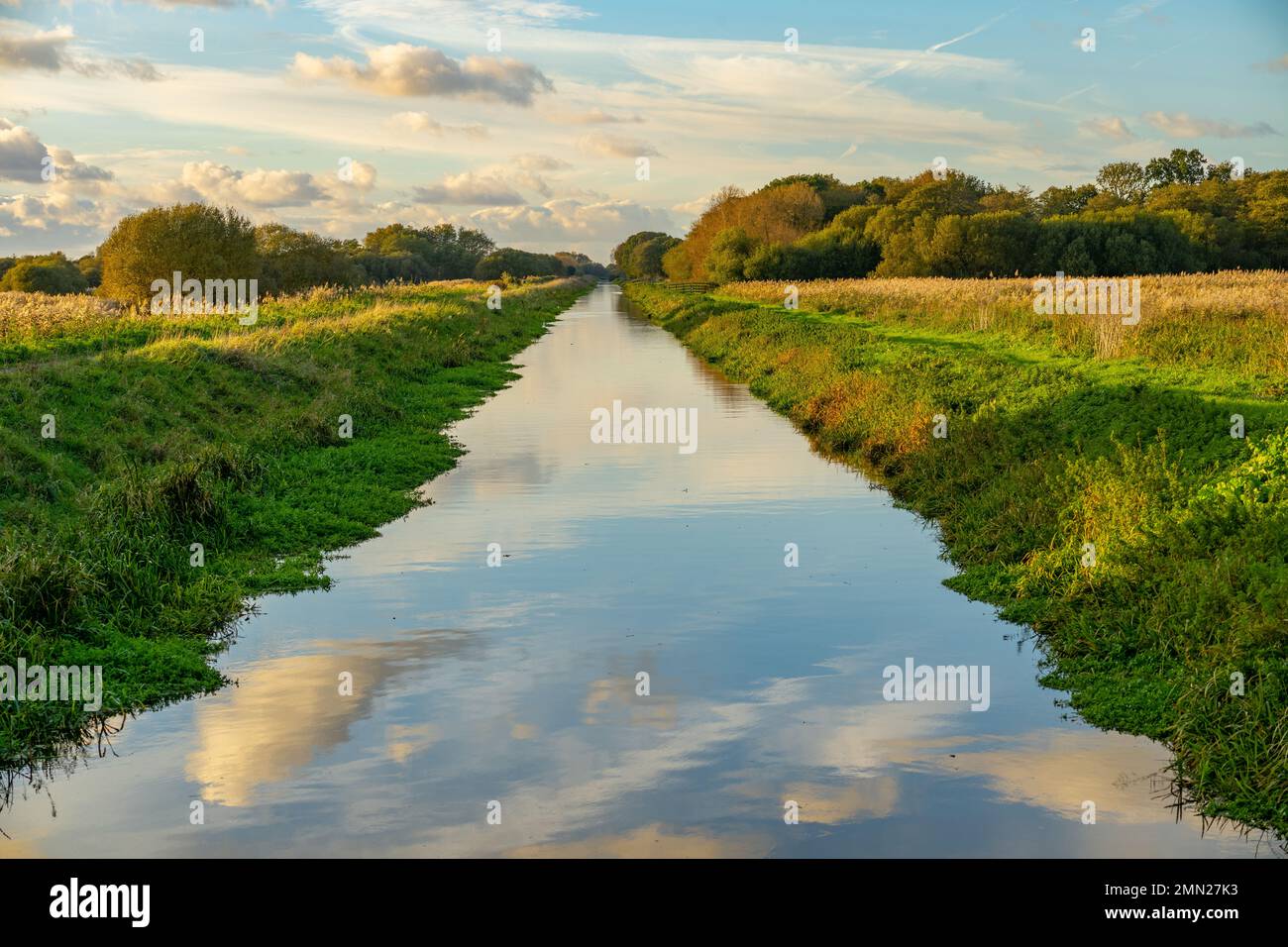 Südlicher Abfluss in der Nähe der Ham-Mauer. In den Sumpflandschaften von Somerset. Stockfoto