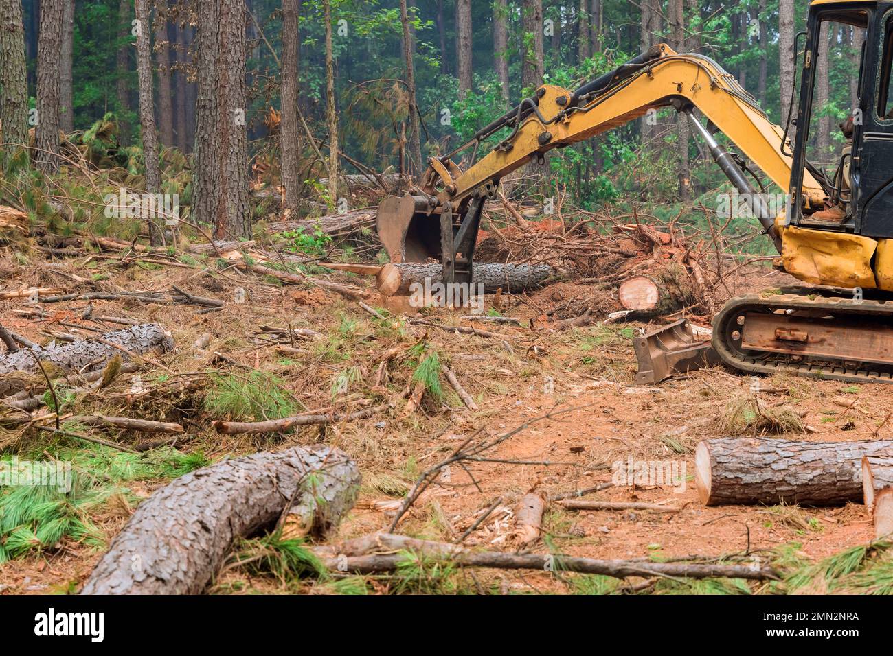 Arbeiten Sie Traktor Manipulator uprootiert Bäume mit zielgerichtetem Anheben von Stämmen, um Land für den Bau neuer Wohnungen vorzubereiten, führen Sie Entwaldungsarbeiten durch Stockfoto