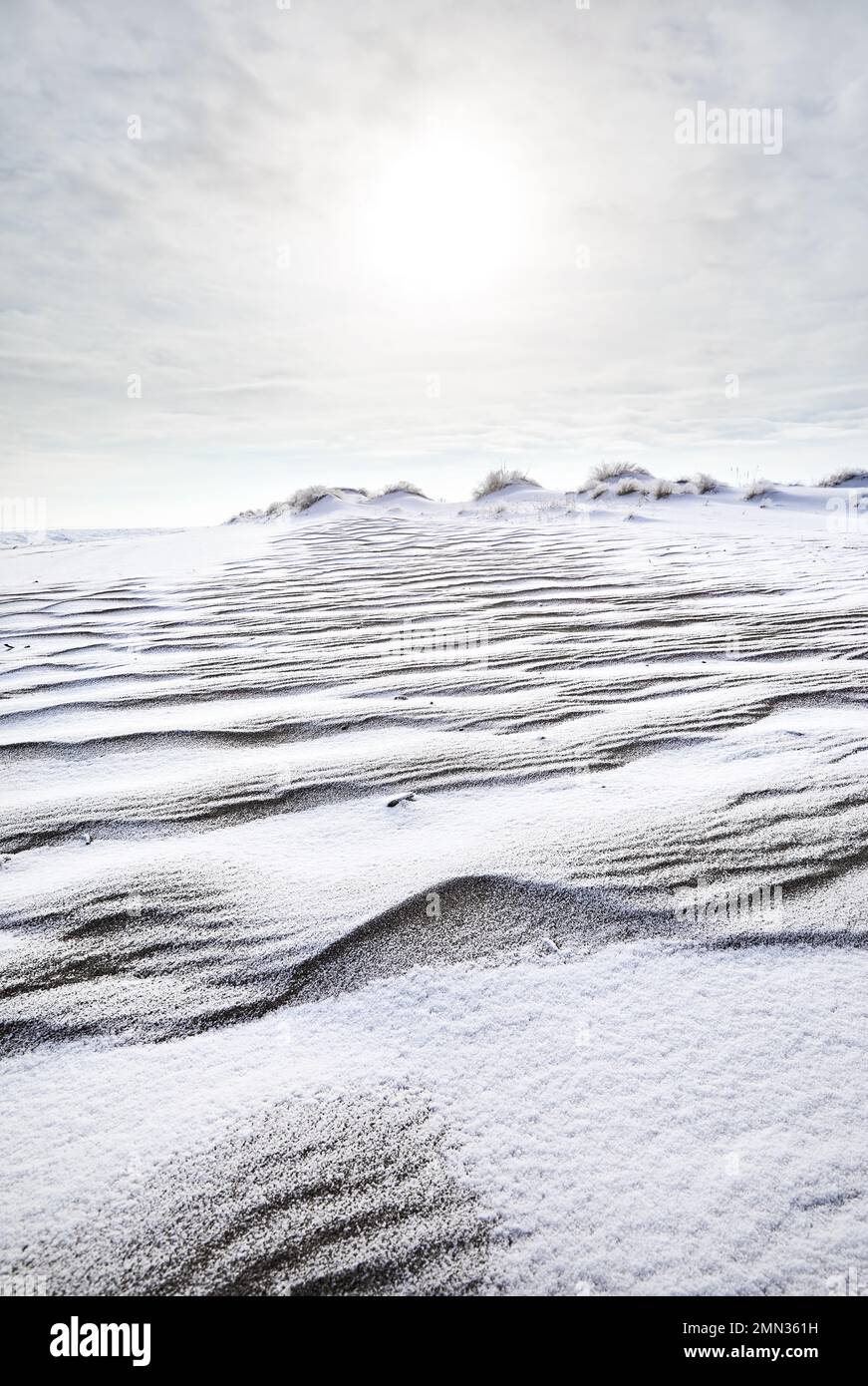 Surreale Landschaft mit Wellen von Sanddünen bedeckt mit Schnee in der Wüste in Kasachstan im Winter Stockfoto