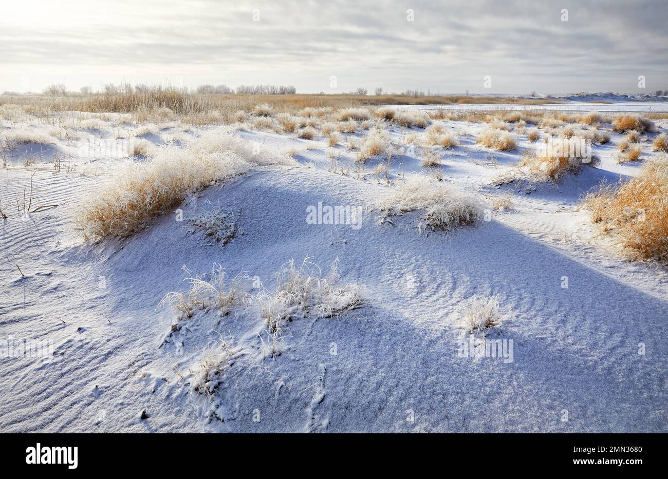 Surreale Landschaft mit Wellen von Sanddünen bedeckt mit Schnee in der Wüste in Kasachstan im Winter Stockfoto