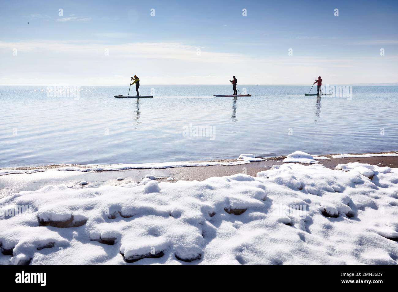 Der Three-man-Athlet paddelt auf dem Sup-Board im See mit Eis im Winter und Schnee am Strand. Extremes Outdoor-Sportkonzept Stockfoto