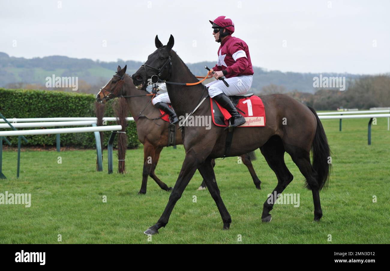 Rennen Drei. Die Glenfarclas Cross Country Chase. Deltawerk, geritten von Robert James beim Start Horse Racing auf der Cheltenham Racecourse, Prestbury Stockfoto