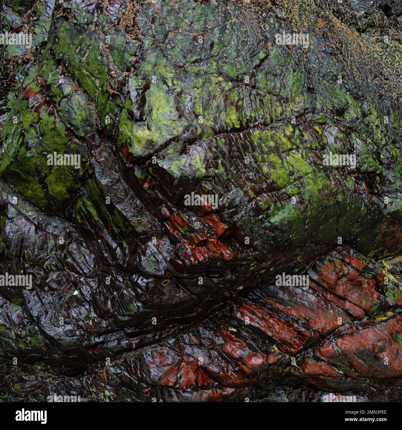 Kynance Cove Cornwall, grün, rot, violett Serpentine Rock, The Lizard, Cornwall. UK Stockfoto
