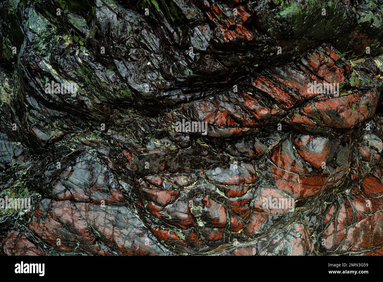 Serpentine Rock rot und grün, Lizard Cornwall Stockfoto