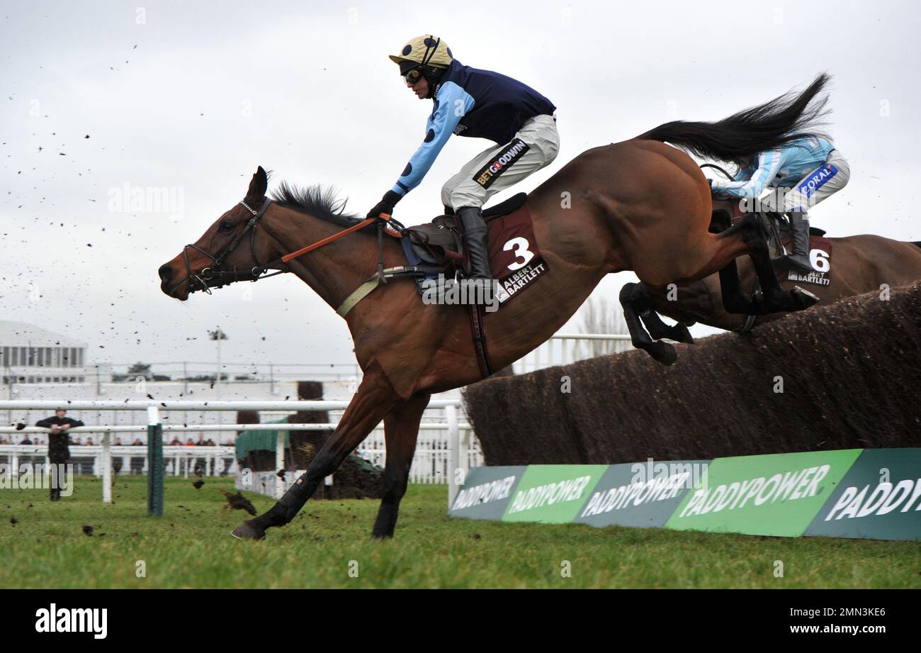 Viertes Rennen: Albert Bartlett Clarence House Chase. Edwardstone reitet von Tom Cannon auf der ersten Rennstrecke beim Cheltenham RAC Stockfoto