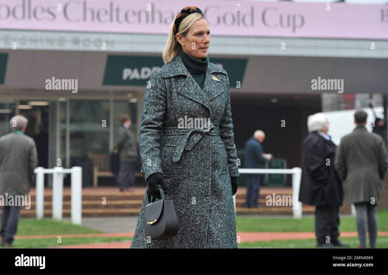 Zara Tindall Horse Racing auf der Cheltenham Racecourse, Prestbury Park on Trials Day im Januar vor dem Gold Cup National Hunt Festival Stockfoto