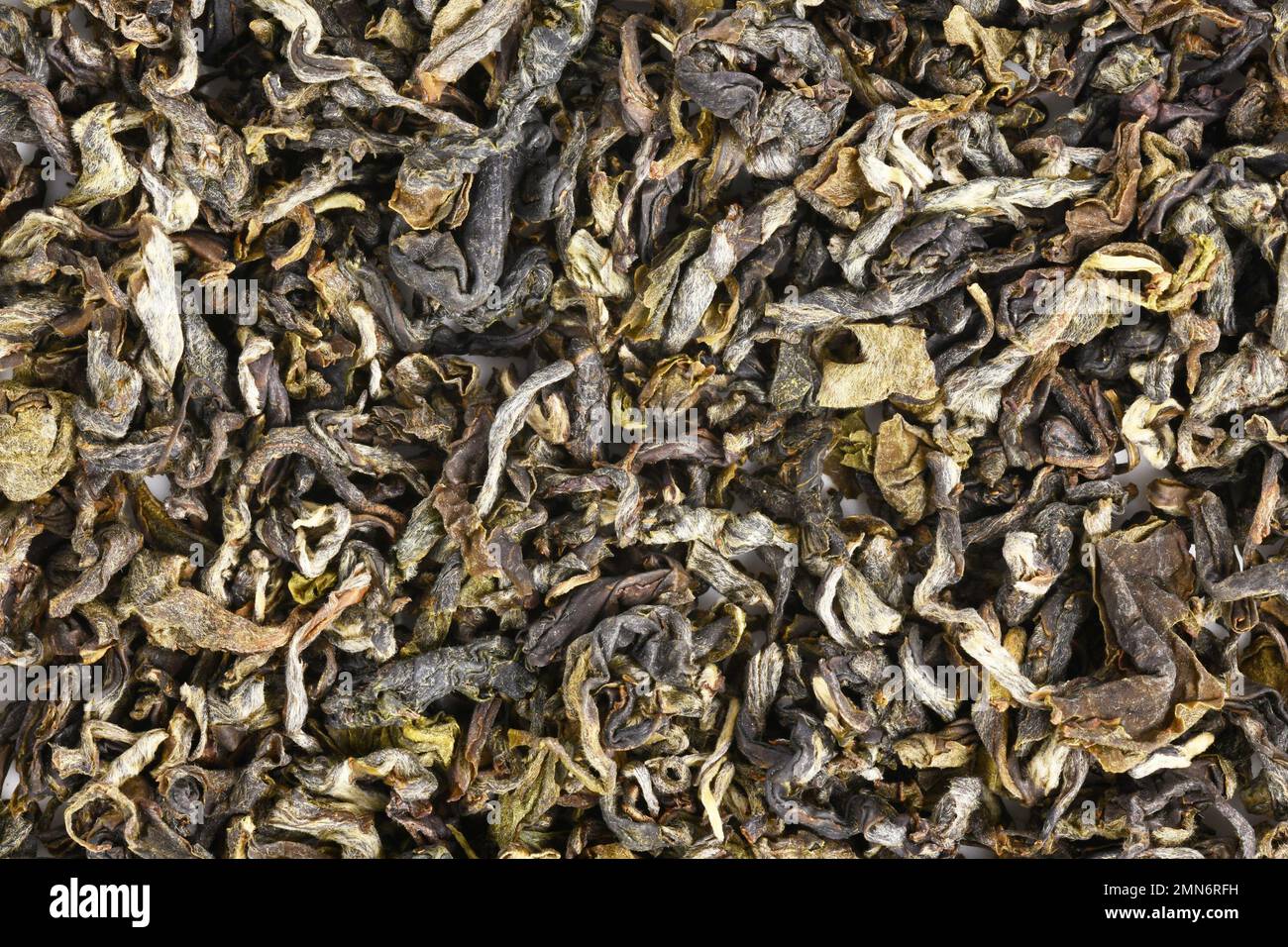 Nahaufnahme der chinesischen „Jin Xiang“-Oolong-Teekraut-Blätter Stockfoto