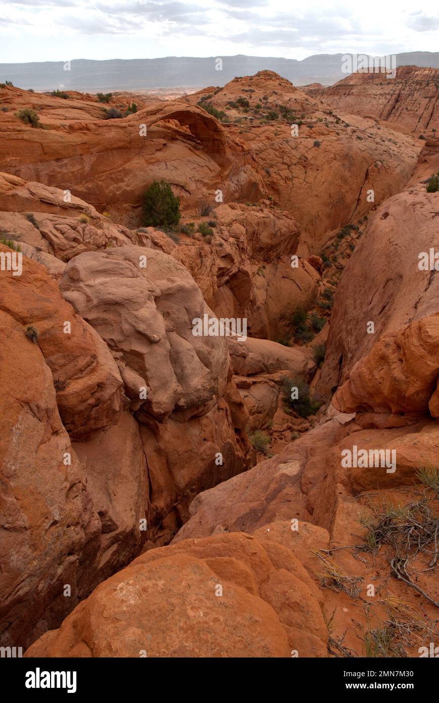 Brimstone Arch in Scorpion Wilderness Study Area, Escalante Grand Staircase National Monument, Utah, USA Stockfoto