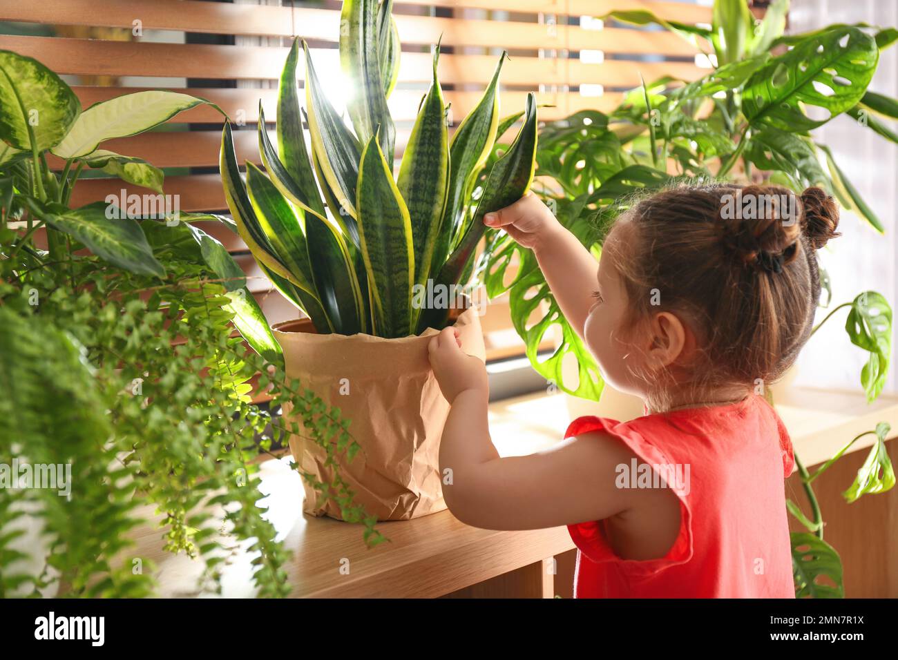 Ein kleines Mädchen, das zu Hause mit einer Zimmerpflanze spielt Stockfoto