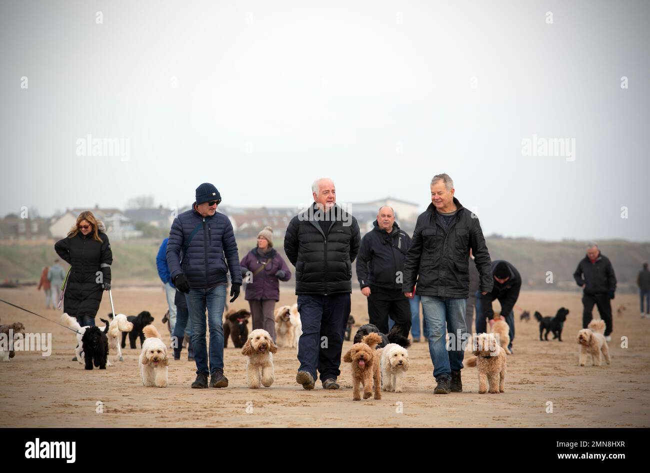 Hundefreunde am Seaburn Beach, South Shields. The Pub Walk in South Shields, County Durham - vom Marine Walk Car Park in Roker zum Trow Point on the No Stockfoto