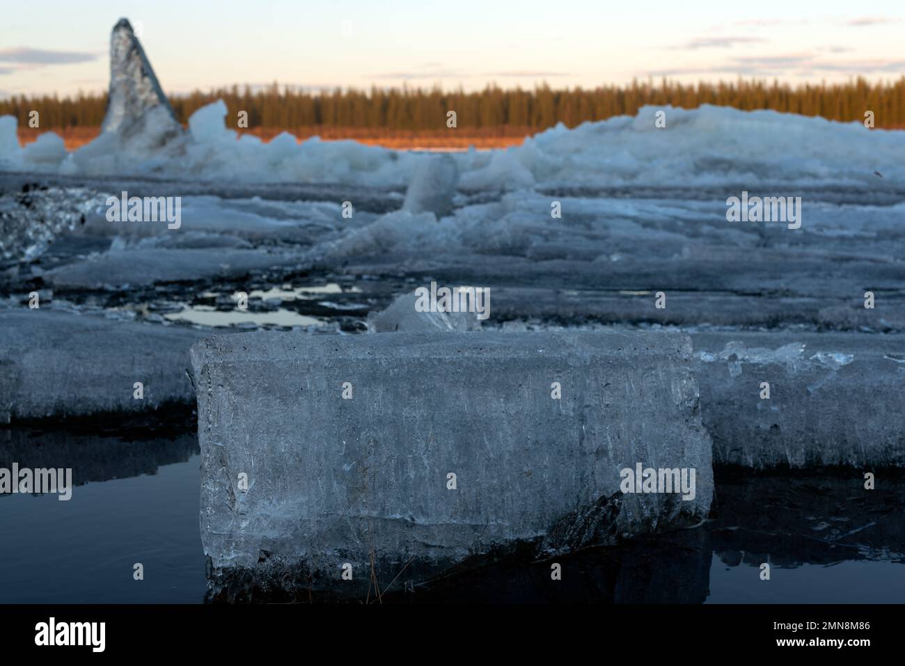 Die letzten Eisschollen schmelzen in der Nähe der Küste der Taiga. Eisfluß auf dem Quellfluß in Yakutia Vilyuy mit klarem Wasser und Wolkenreflexionen Stockfoto