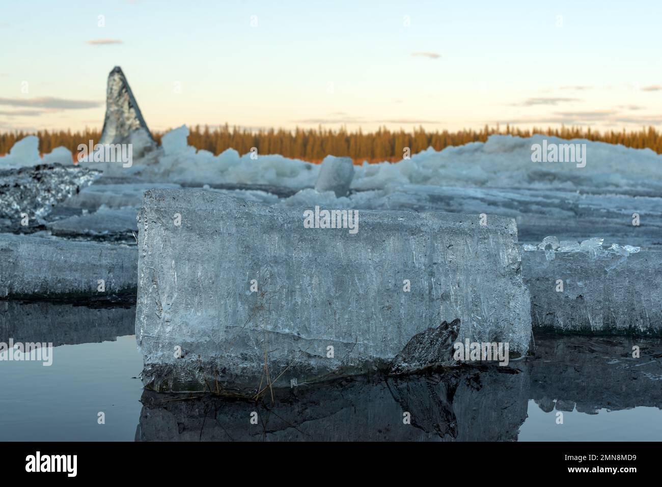 Die letzten Eisschollen schmelzen in der Nähe der Küste der Taiga. Eisfluß auf dem Quellfluß in Yakutia Vilyui mit Reflexion der Wolken bei Sonnenuntergang im Stockfoto