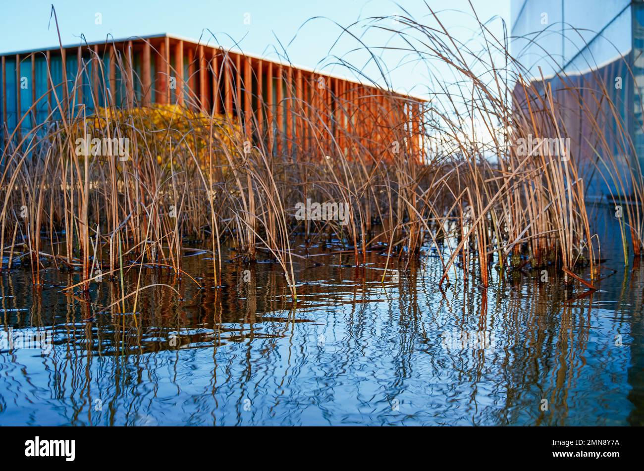 Künstliche Lagune neben einem ockerfarbenen Stahlgebäude auf der expo in saragoza Stockfoto