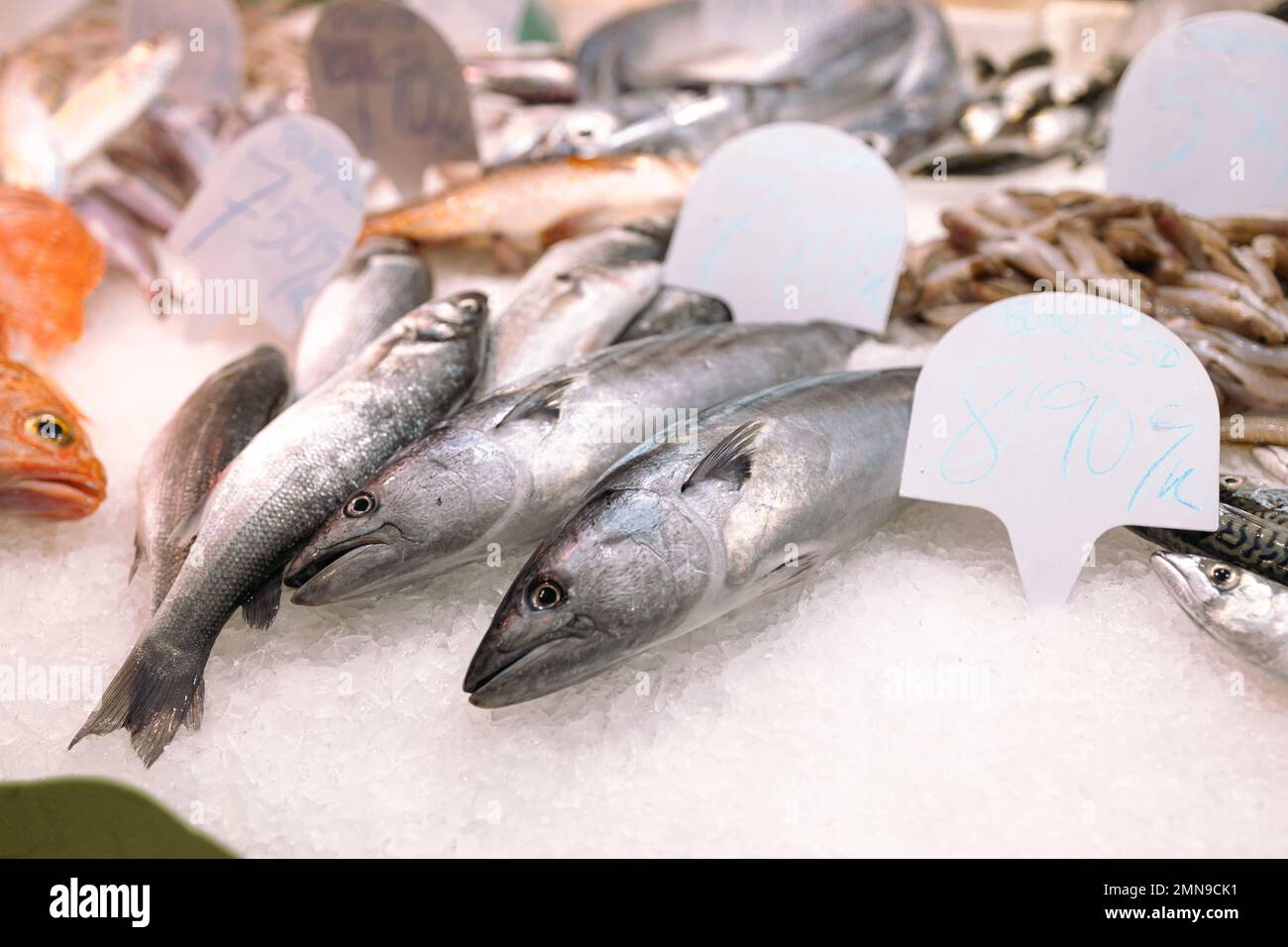 Frische große Sardinenfische in Mengen auf dem Fischmarkt Stockfoto