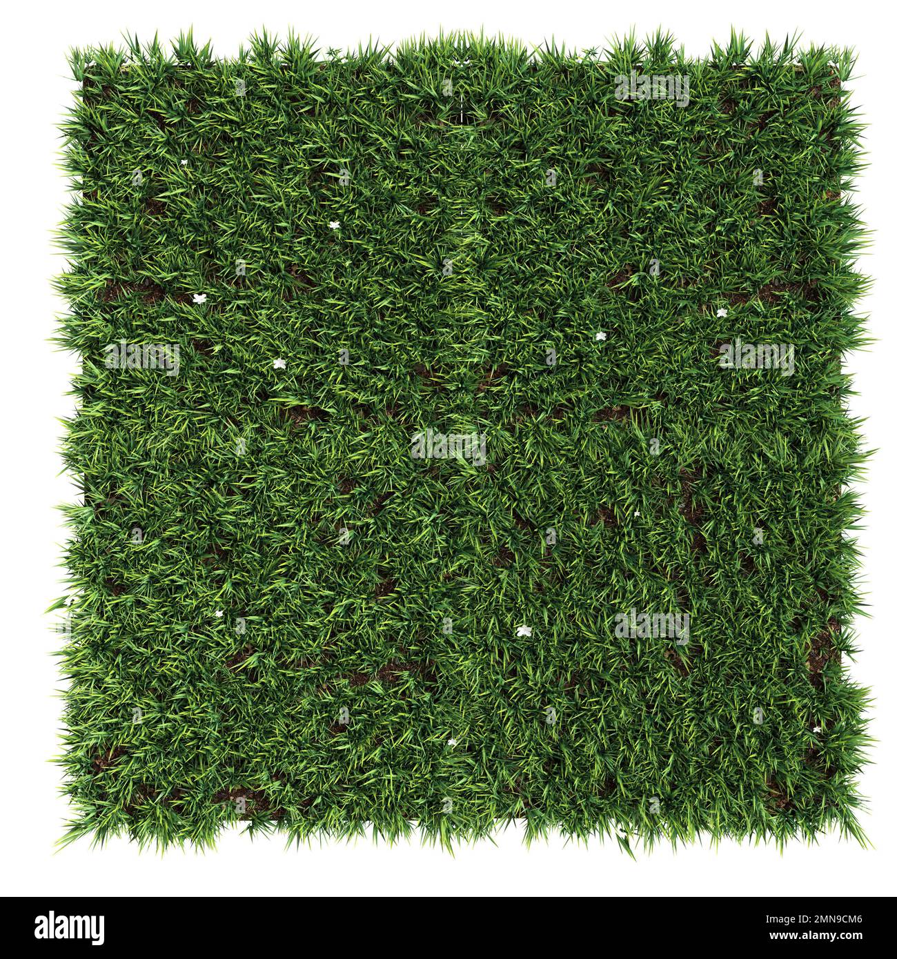Gemähter rasen oder gras Ausgeschnittene Stockfotos und bilder Alamy