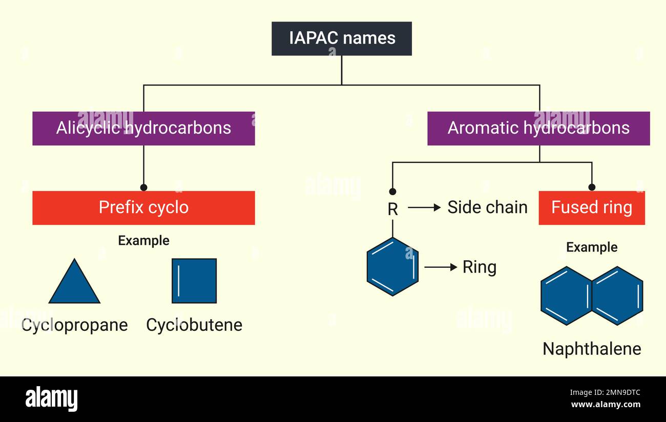 IAPAC bezeichnet alicyclische Kohlenwasserstoffe und aromatische Kohlenwasserstoffe Stock Vektor