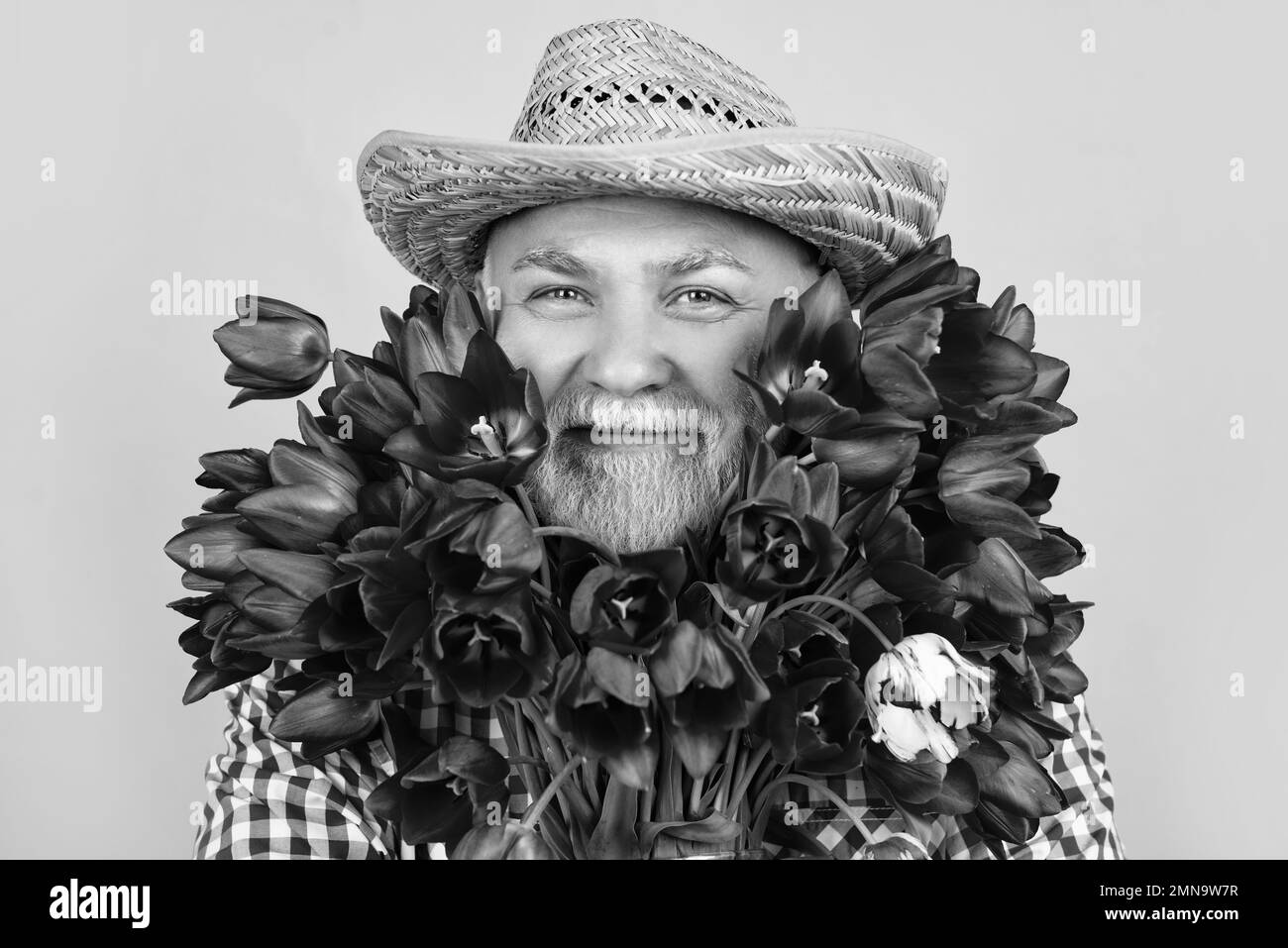 Fröhlicher alter pensionierter Mann Porträt in Hut halten Frühling Tulpen Blumen auf grünem Hintergrund Stockfoto