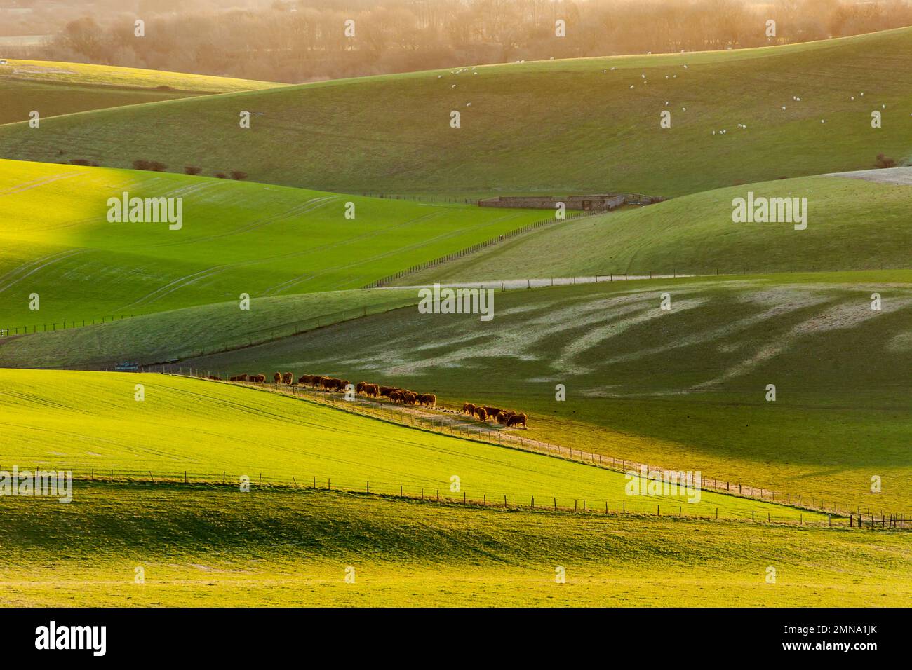 Wintersonnenaufgang an den South Downs in West Sussex, England. Stockfoto