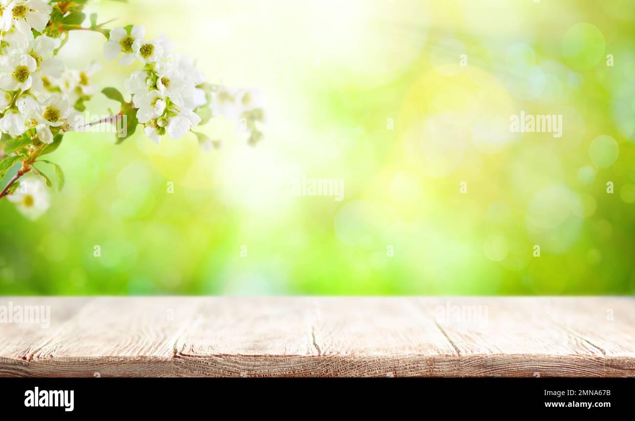 Holztisch und verschwommener grüner Frühling- oder Sommerhintergrund mit Blütenblütenzweigen. Osterhintergrund mit Kopierbereich. Stockfoto