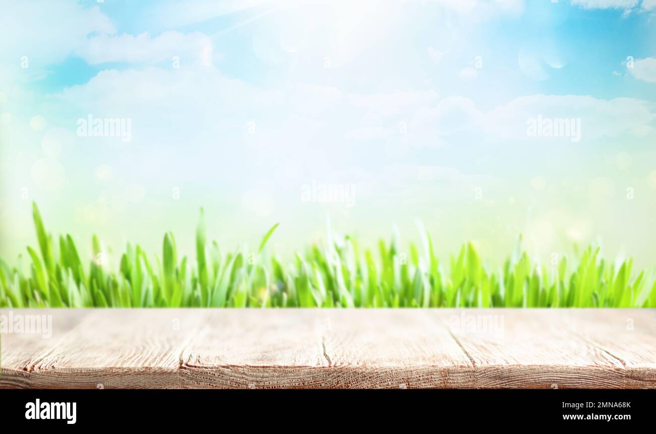 Holztisch und verwackelter grüner Frühlings- oder Sommerhintergrund. Natürlicher Osterhintergrund mit Kopierbereich. Stockfoto