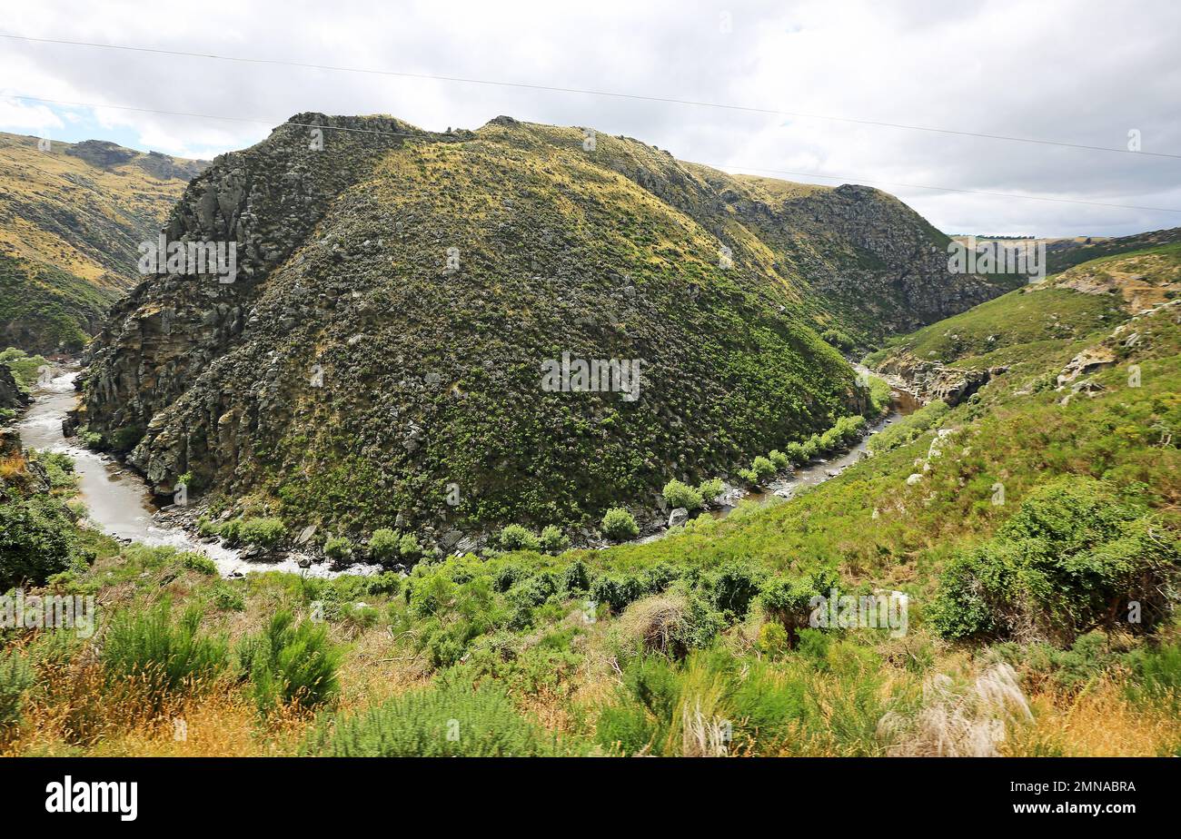 Meander von Taieri - Taieri River Gorge - Neuseeland Stockfoto