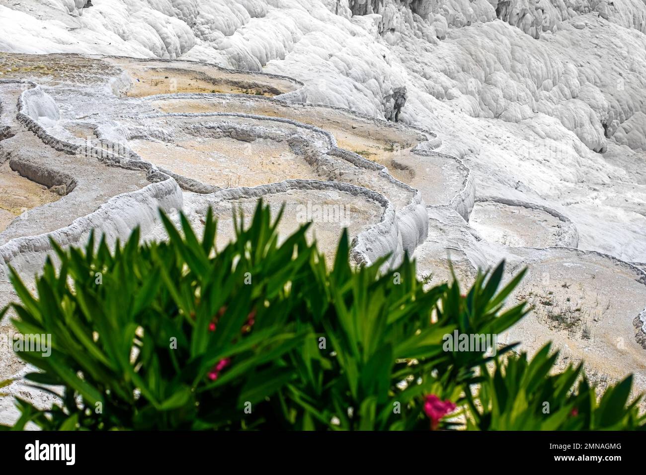 Blick auf trockene traventines in Pamukkale an einem sonnigen Sommertag. Ansicht von oben. Truthahn Stockfoto