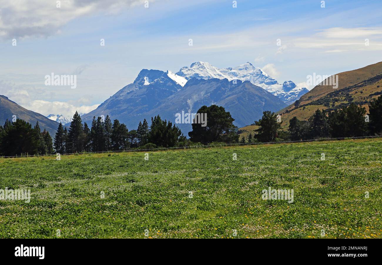 Grüne Weide und Mount Earnslaw - Neuseeland Stockfoto