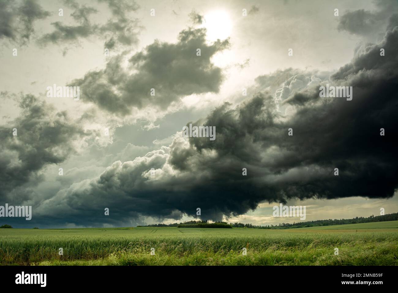 Dunkle, bedrohliche Gewitterwolke über einem grünen Feld im Sommer Stockfoto