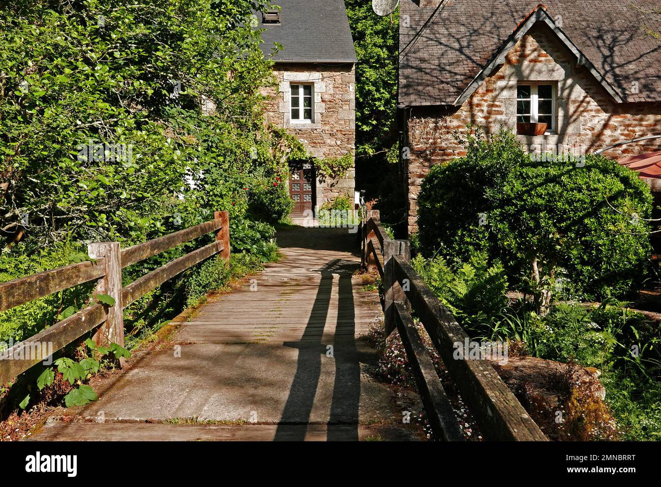 Promenade du Bois d'Amour; Fluss Aven, Pont-Aven, Finistere, Bretagne, Bretagne, Frankreich, Europa Stockfoto